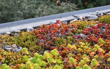 the cost of Culswick green roof installation