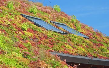 Culswick living roof systems